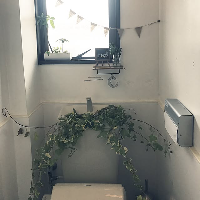 バス/トイレ/観葉植物/100均/セリア/リメ缶のインテリア実例 - 2017-06-17 17:31:09