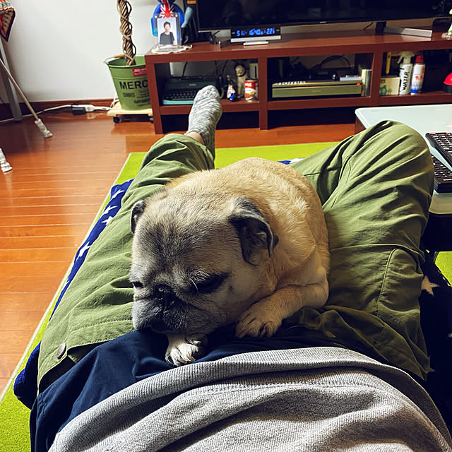 kellyさんの実例写真