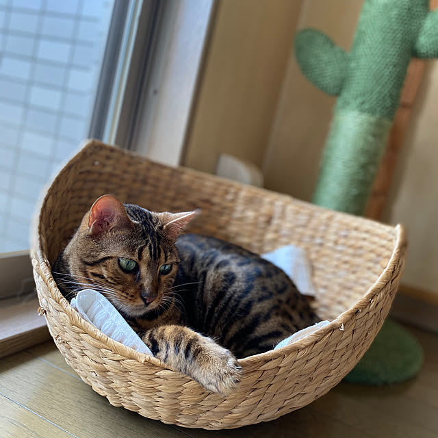 yumuyumuさんの実例写真