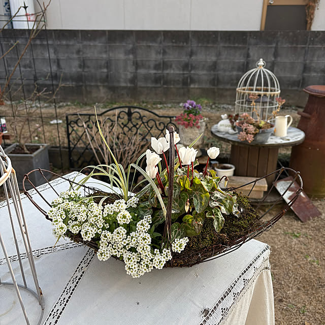 mayumiさんの部屋