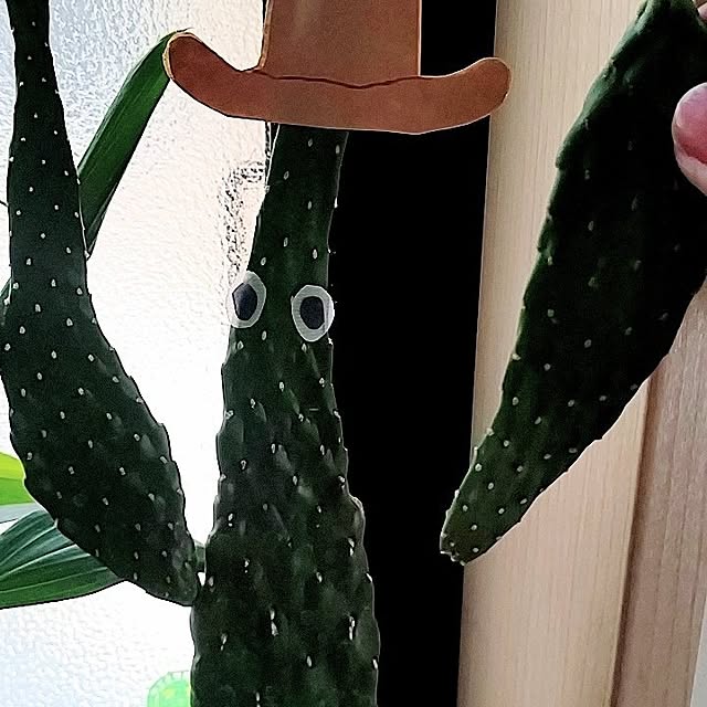 Ri-さんの実例写真