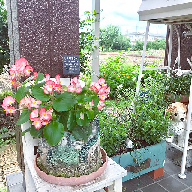 oyoさんの実例写真