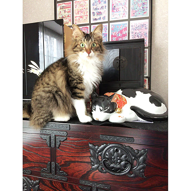 yuchiさんの実例写真