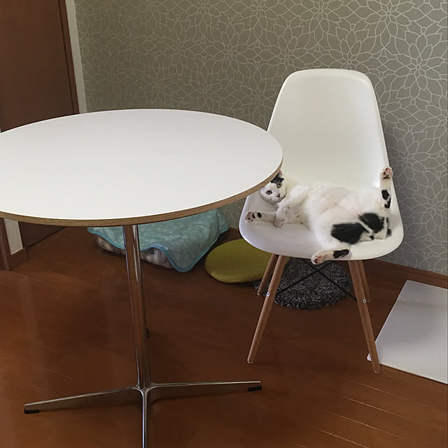 RoomClipアンケート/一人暮らし/部屋全体のインテリア実例 - 2019-07-04 22:02:25