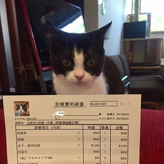 butachanさんの実例写真