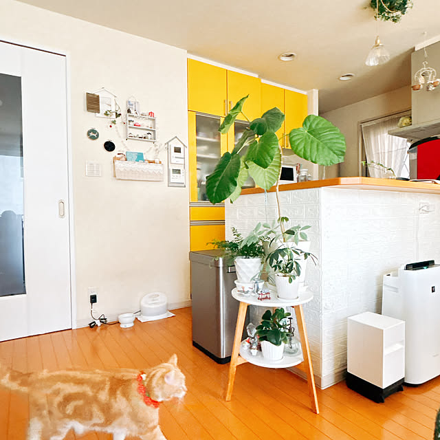 moolさんの実例写真