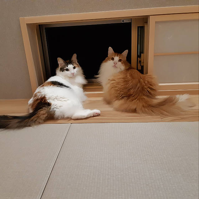 nami0703さんの実例写真