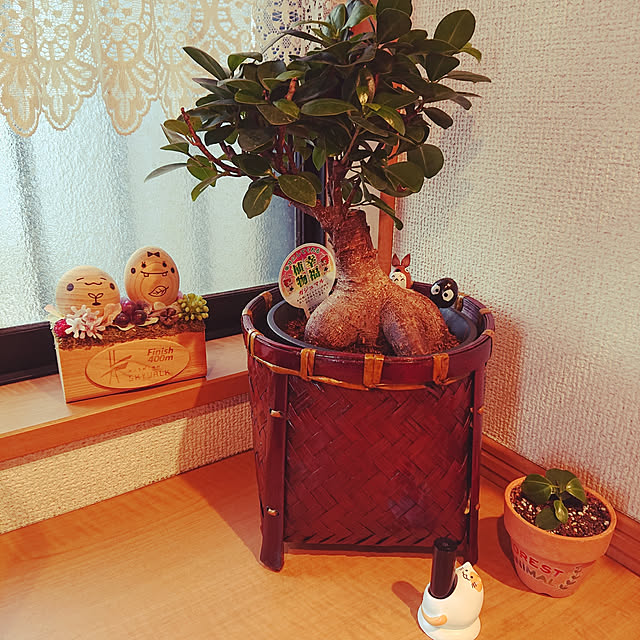 H23さんの実例写真