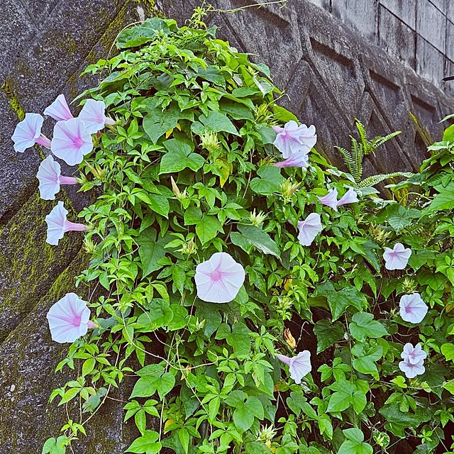 mocomocoさんの部屋