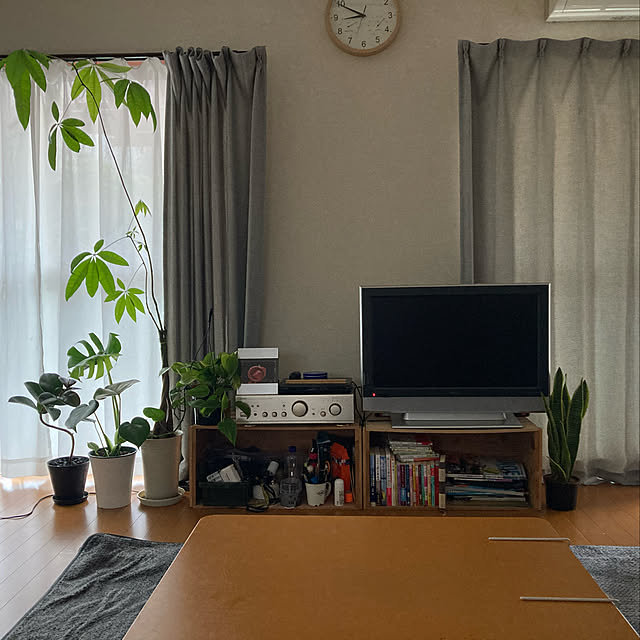 観葉植物/リビングのインテリア実例 - 2022-05-31 08:53:31