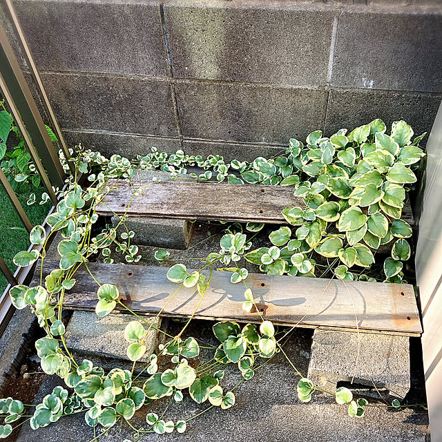 nerineさんの部屋
