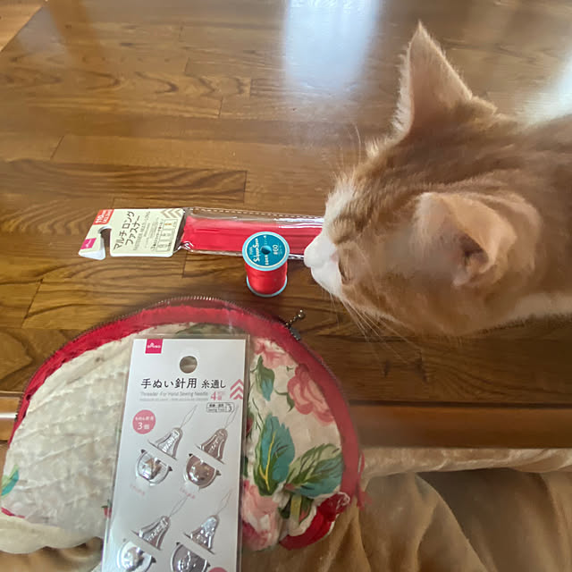 senbei.sakuramochiさんの実例写真
