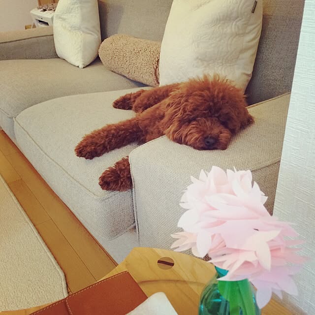 0404soraさんの実例写真