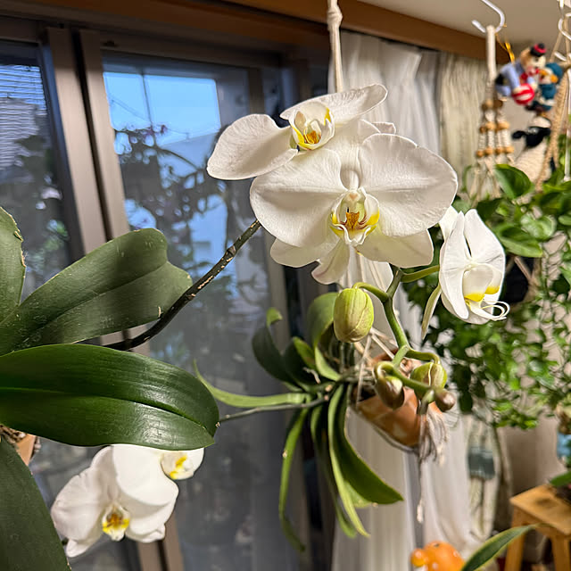Aqettyさんの部屋