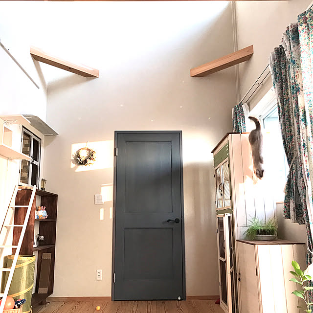 nekomoriさんの実例写真