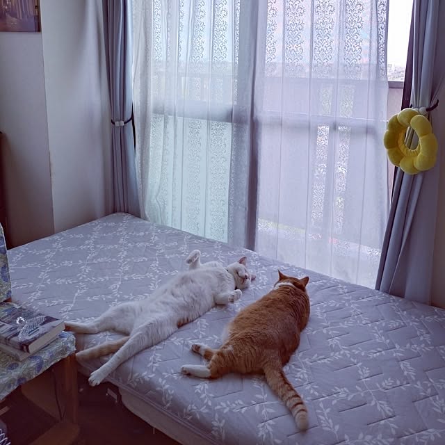 NOAHさんの実例写真
