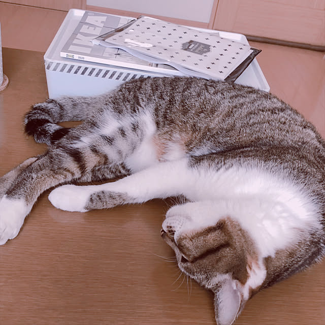 nnmmさんの実例写真