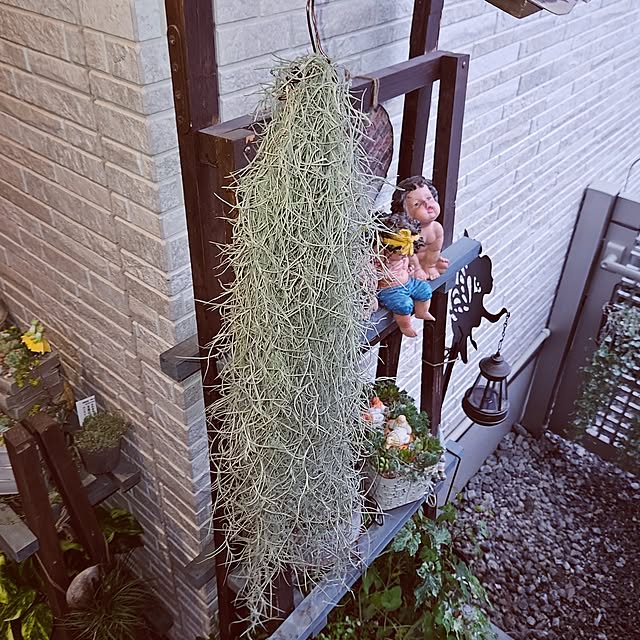 mocomocoさんの実例写真