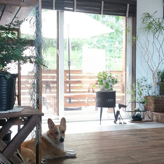 mapiさんの実例写真