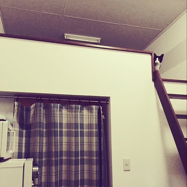uniさんの実例写真