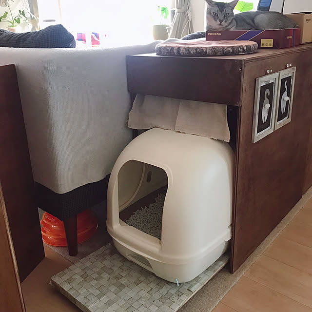kotoriさんの実例写真