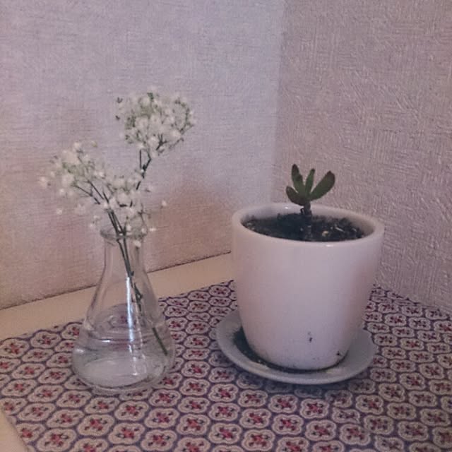 yama36さんの実例写真