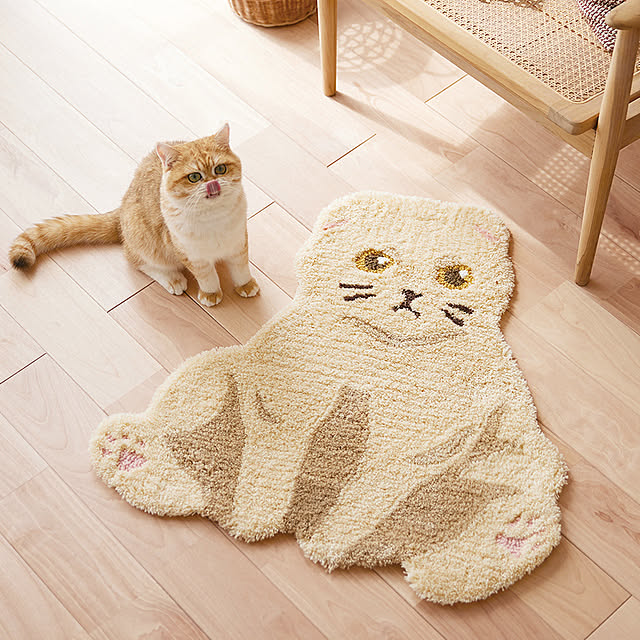 SUNROCK_in_Livingさんの実例写真