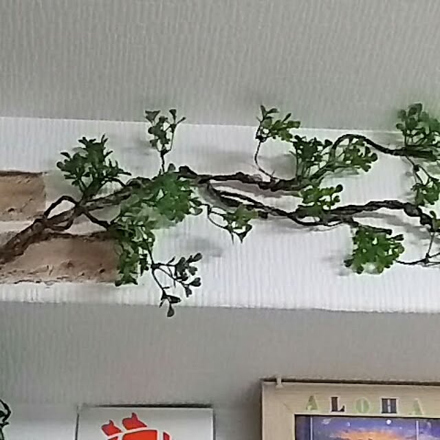 atukoさんの実例写真