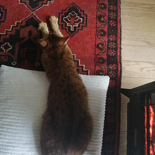 nahocさんの実例写真