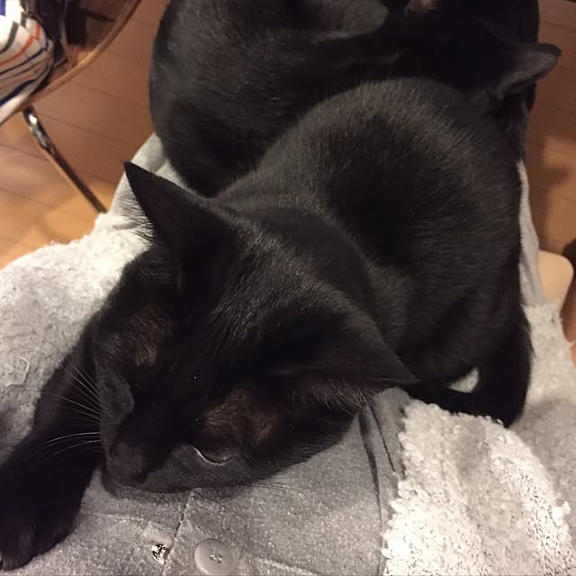 yuki0511さんの実例写真