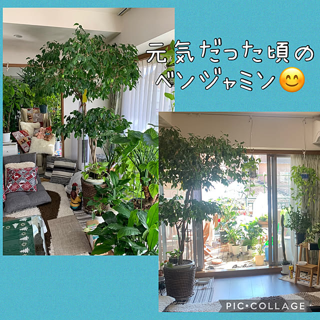Aqettyさんの部屋