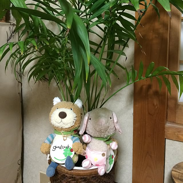 harumiさんの実例写真