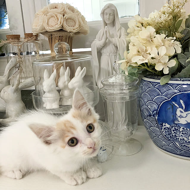 yuchiさんの実例写真