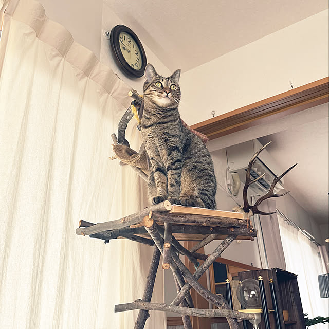 Mさんの実例写真