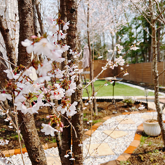 chanduさんの部屋