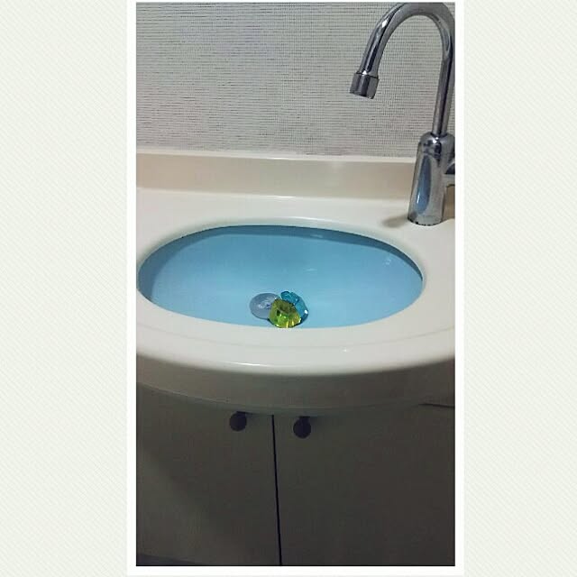 pecorintanさんの実例写真