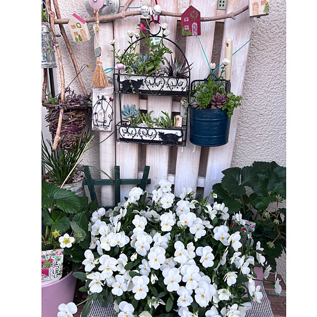 syutmmさんの実例写真