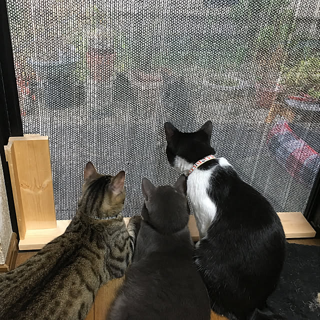 kmakkyiさんの実例写真