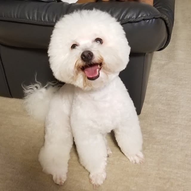 takoさんの実例写真