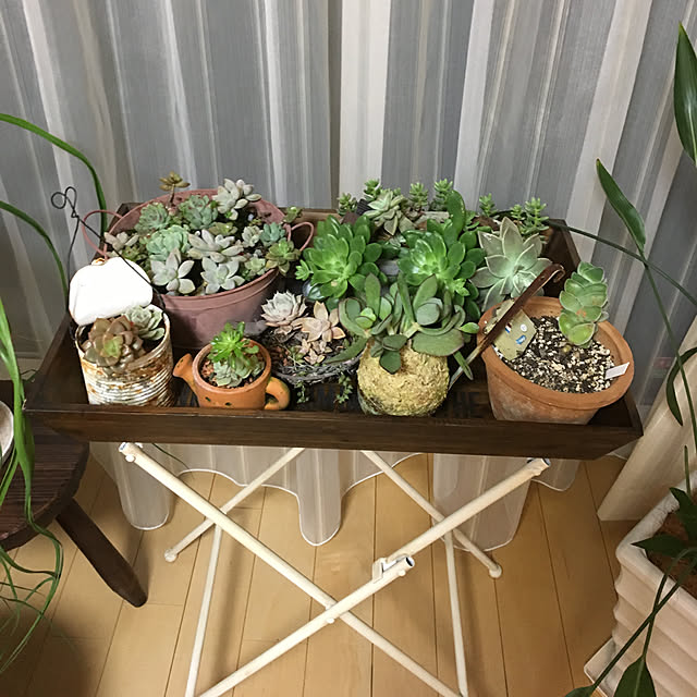 sanw2225719さんの実例写真