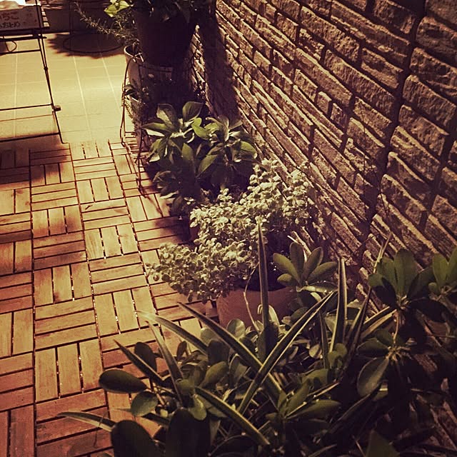mintさんの実例写真