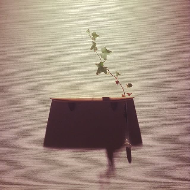 tachiさんの実例写真
