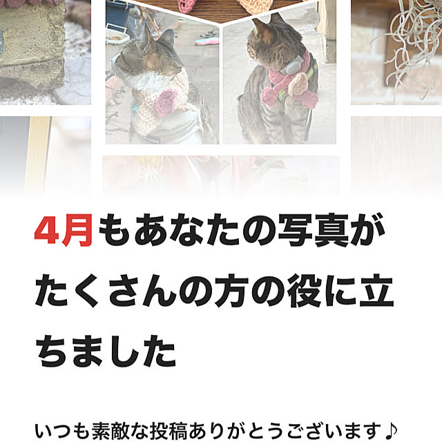 部屋全体/沢山の閲覧に感謝です❤️/いつもいいねありがとうございます♡のインテリア実例 - 2025-05-04 21:15:23