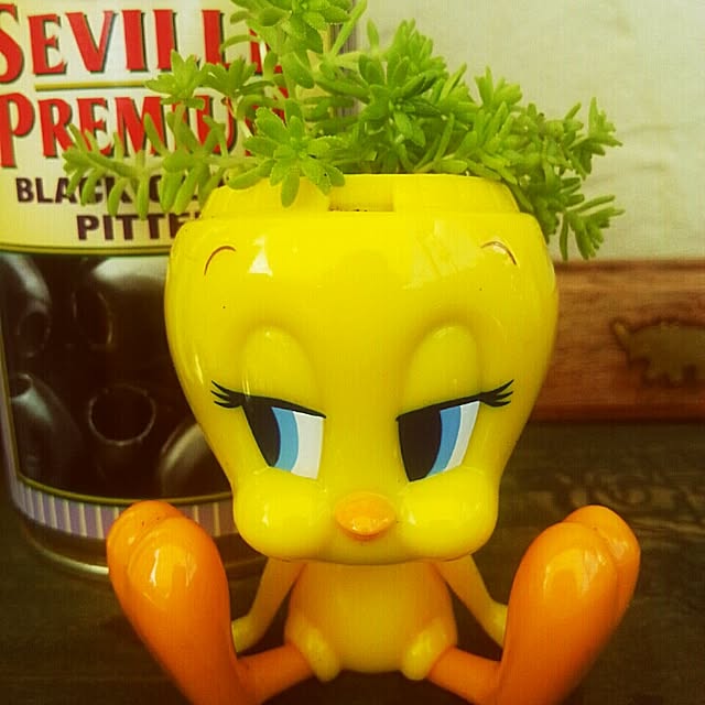 acomaruさんの実例写真
