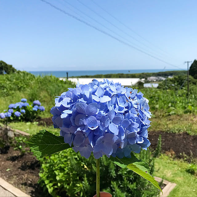 kmys0625さんの実例写真