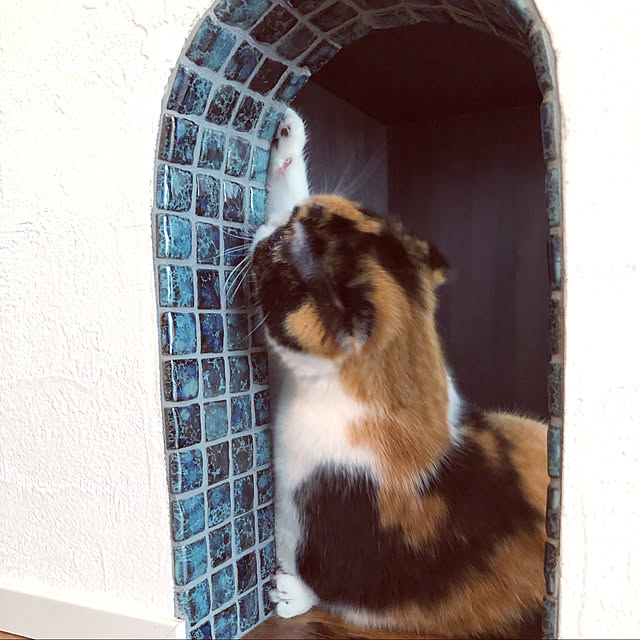 keiさんの実例写真