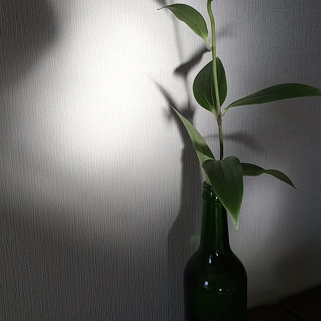 Ryokoさんの実例写真