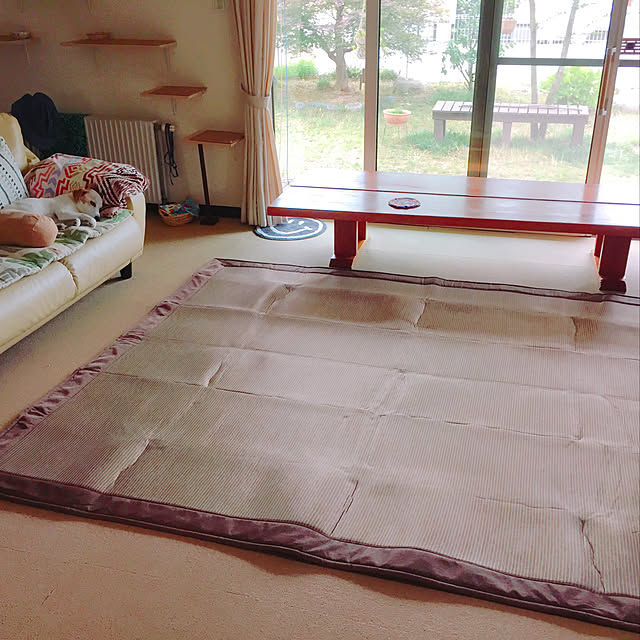 nanaさんの実例写真