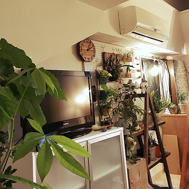 部屋全体/観葉植物/DIY/ナチュラルのインテリア実例 - 2017-06-14 02:03:53