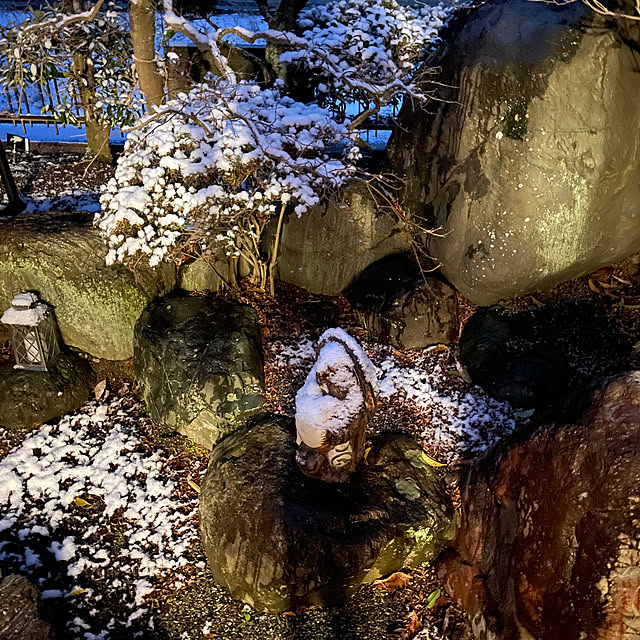 shin0719さんの部屋